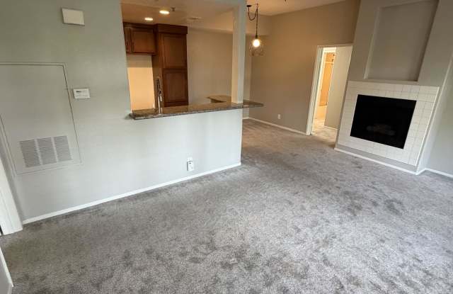 203 Cinnamon Teal Gallery 1