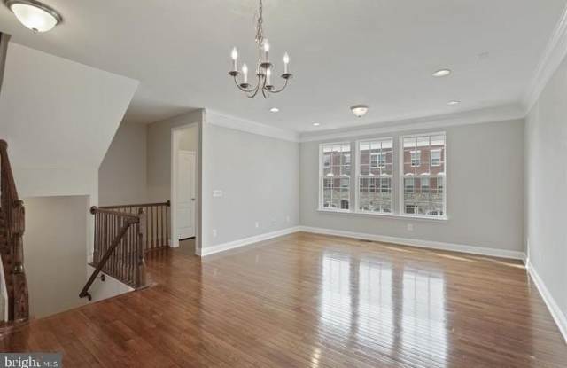 42234 VIOLET MIST Terrace Gallery 4