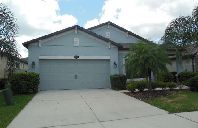 11515 SCARLET IBIS PLACE - 11515 Scarlet Ibis Place, Riverview, FL 33569