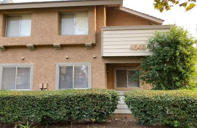 2 bed, 2 bath Alamo Villas unit! photos photos 2 bed, 2 bath Alamo Villas unit! photos photos