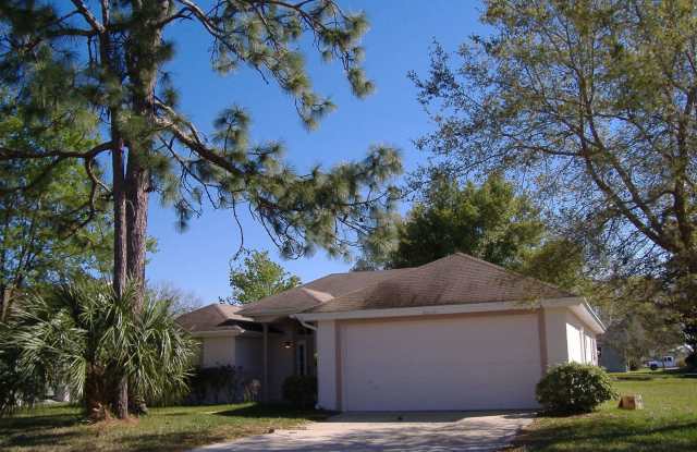 20514 Marlin Street - 20514 Marlin Street, Wedgefield, FL 32833