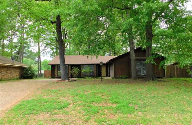 137 Chimney Lane - 137 Chimney Lane, Red Chute, LA 71037