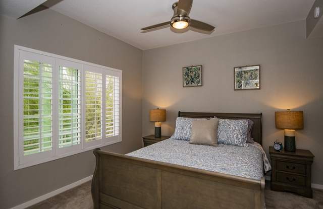 1500 East Pusch Wilderness Drive Gallery 2