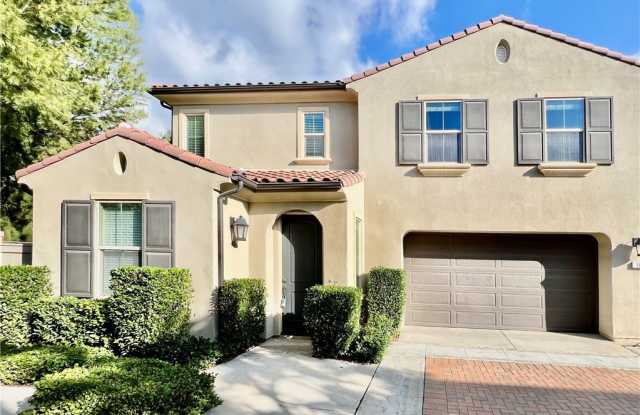 183 Bright Poppy photos photos