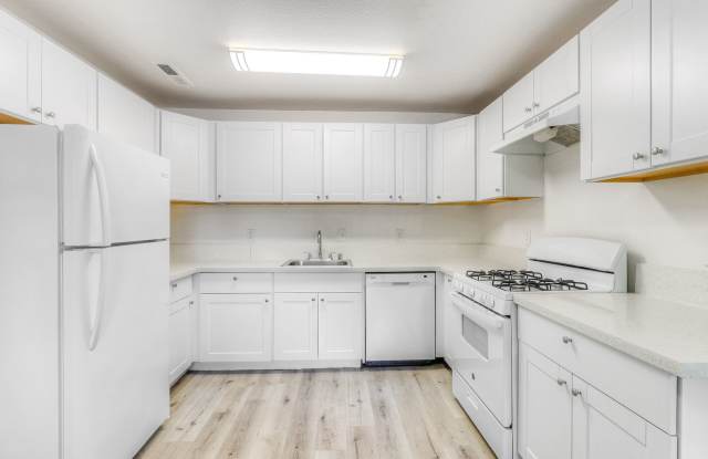 RICKY CT photos photos