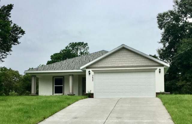BEAUTIFUL Newer Home 3/2/2 Spring Hill, 1589 Sq Ft photos photos