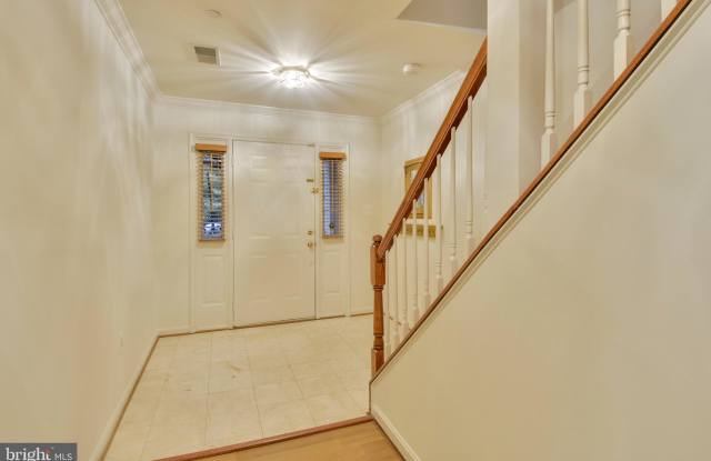 426 STANTON PLACE Gallery 4