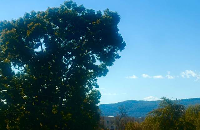 863 Flynn 203 - 863 Flynn Street, Chattanooga, TN 37403