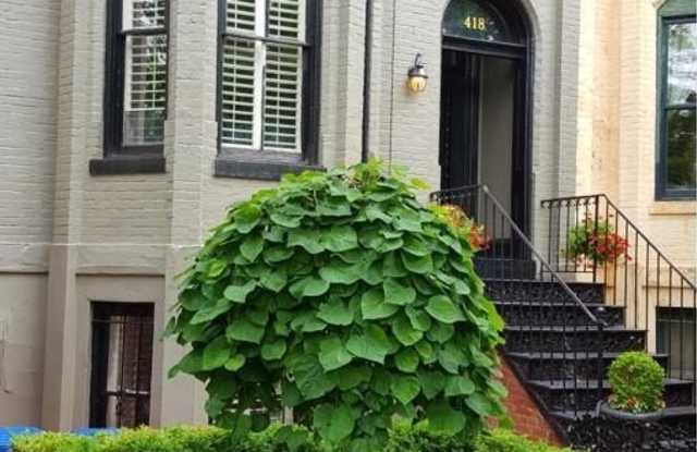 418 A STREET SE - 418 A Street Southeast, Washington, DC 20003