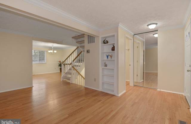11753 MOSSY CREEK LANE Gallery 2