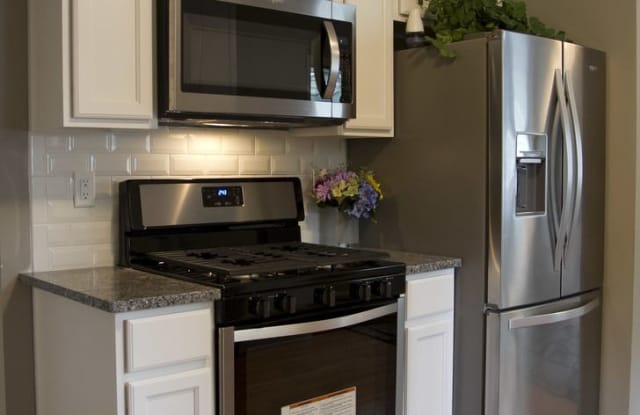 1575 Ruth Street N - 1575 Ruth St N, St. Paul, MN 55119
