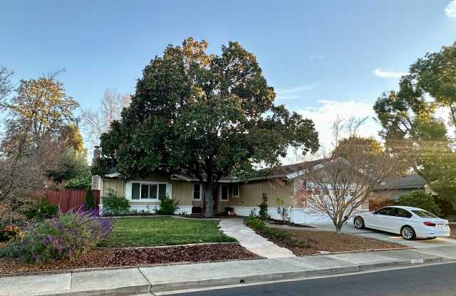 3627 Sugarberry Lane photos photos
