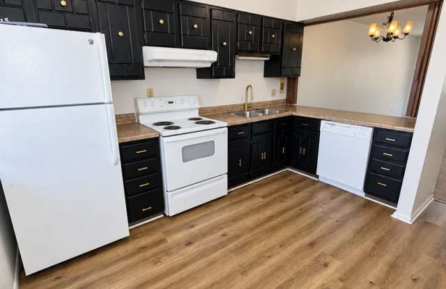 TAKE $625 OFF 1ST MONTH & APP FEE REIMBURSED! Updated Belmont Townhome $1250/$1250 Gallery 3