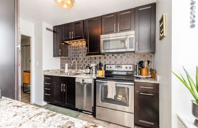 70 W Burton Place - 70 West Burton Place, Chicago, IL 60610