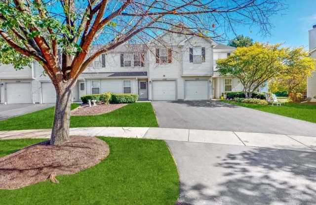 1128 Grand Lake Court - 1128 Grand Lake Court, Naperville, IL 60540
