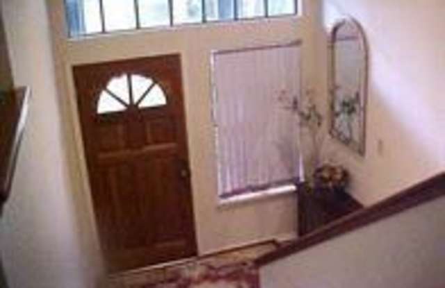 107 E Trace Creek Drive Gallery 2