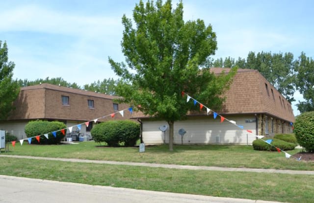 700 Meadowood Ln - 700 Meadowood Lane, Wilmington, IL 60481