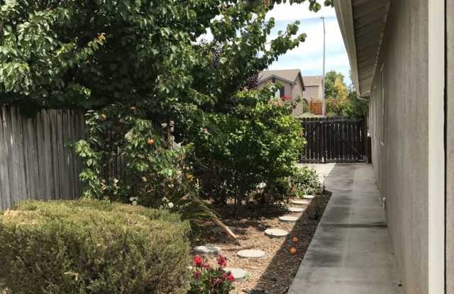 2420 PARADISE CIRCLE Gallery 2