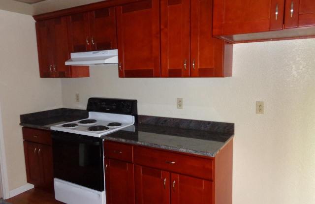 3558 Ruskin Ave, Fremont, CA, US, 94536 - 3558 Ruskin Avenue, Fremont, CA 94536