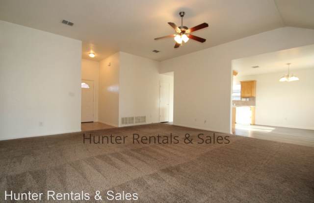 2904 Bachelor Button Gallery 3