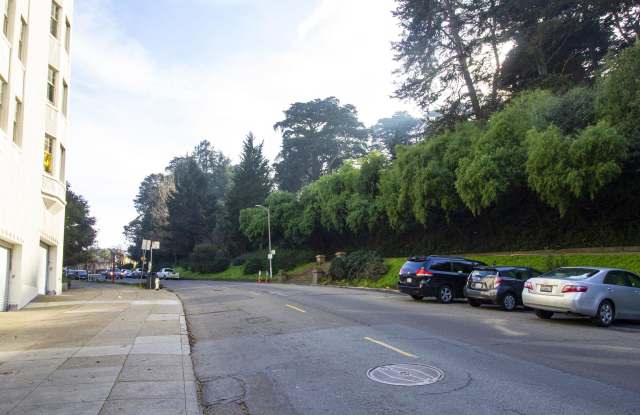 65 Buena Vista Gallery 4
