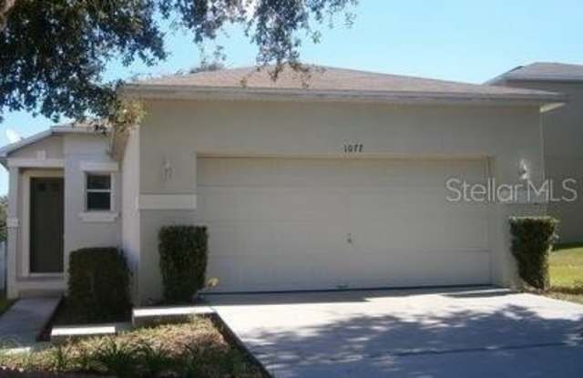1077 SINGLETON CIRCLE - 1077 Singleton Circle, Groveland, FL 34736