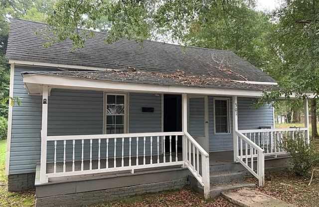 301 Jersey Street - 301 Jersey Street, Laurens, SC 29360