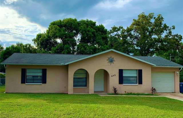 4143 MONTANO AVENUE - 4143 Montano Avenue, Spring Hill, FL 34609