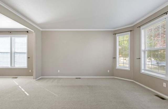 4711 Arabian Lane Gallery 4