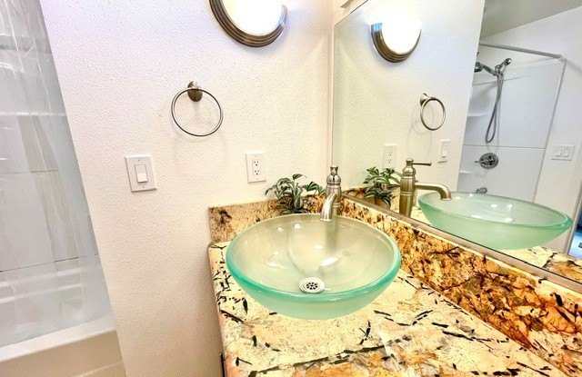 803 Roadrunner Drive Gallery 2