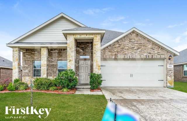 223 Thoroughbred Street - 223 Thoroughbred Street, Waxahachie, TX 75165