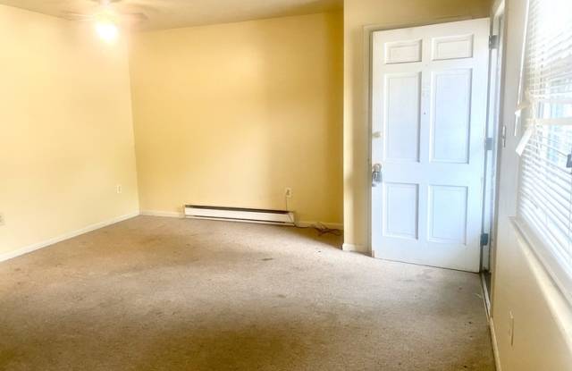 8 N. Chestnut St. - 8 North Chestnut Street, Elizabethtown, PA 17022
