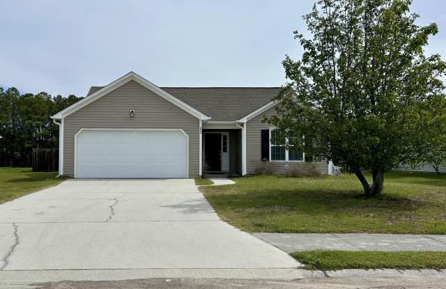 202 Red Carnation Drive photos photos