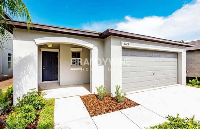 10623 Sweet Sapling Street - 10623 Sweet Sapling Street, Riverview, FL 33578