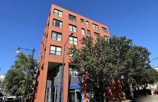 1601 S Halsted Street unit: 202 - 1601 South Halsted Street, Chicago, IL 60608