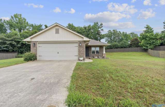 15828 Coach House Court - 15828 Coach House Court Northwest, Huntsville, AL 35749