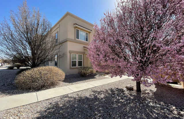 4328 Santo Domingo St unit C photos photos