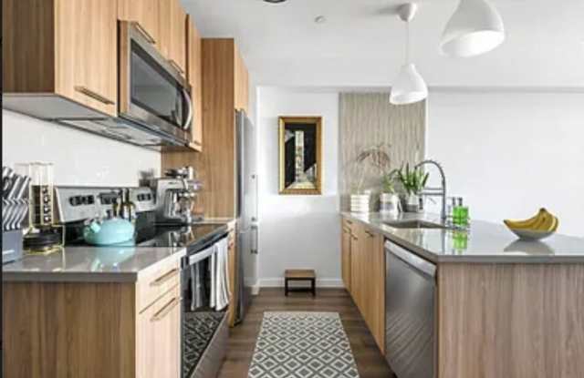 1775 Coney Island Avenue Gallery 2