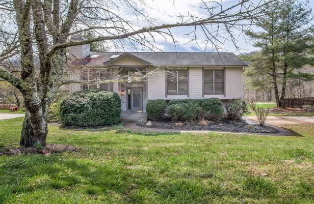 Remodeled Home in The Village at Avery's Creek Gallery 2