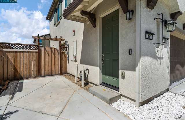 331 Forsythia Way - 331 Forsythia Way, San Joaquin County, CA 95391