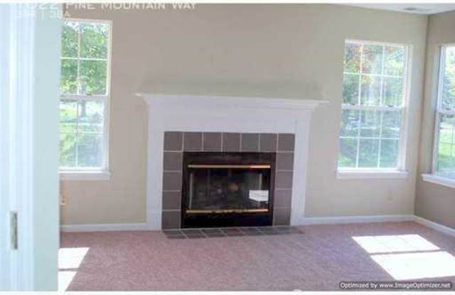 1022 Pine Mountain Way Gallery 2