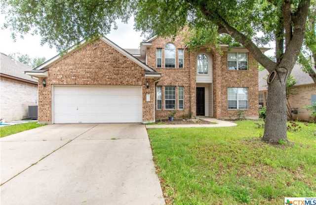 1112 Old Mill Road - 1112 Old Mill Road, Williamson County, TX 78613