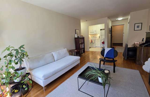 35 Vernon Street - 35 Vernon Street, Brookline, MA 02446
