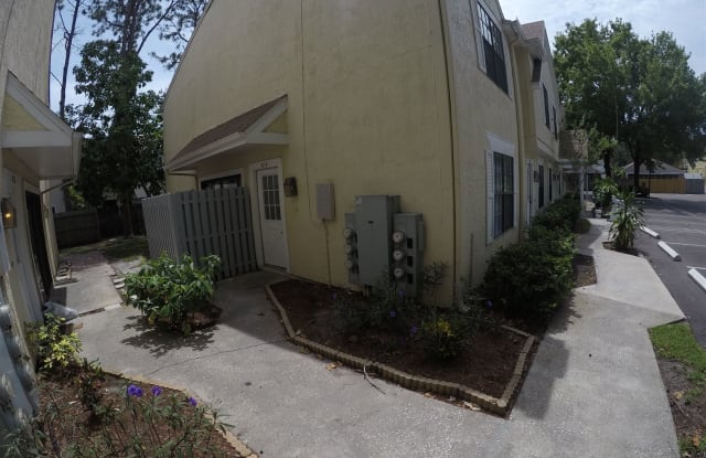 4114 McTavish Pl - 4114 Mc Tavish Place, Carrollwood, FL 33624