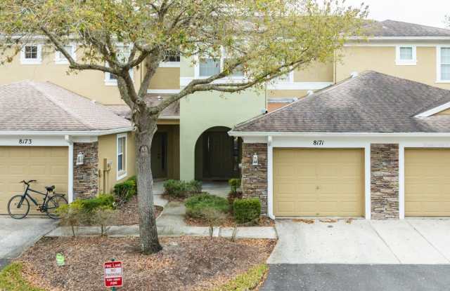 8171 STONE VIEW DRIVE - 8171 Stone View Drive, Tampa, FL 33647