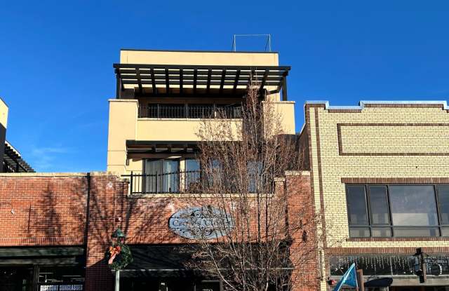 Downtown Durango Luxurious Living photos photos