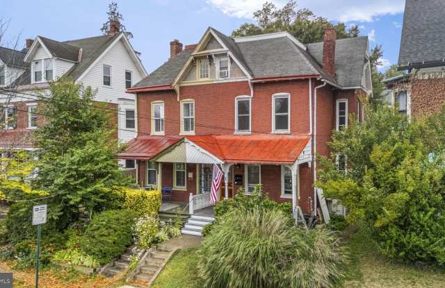 305 W BIDDLE Street photos photos