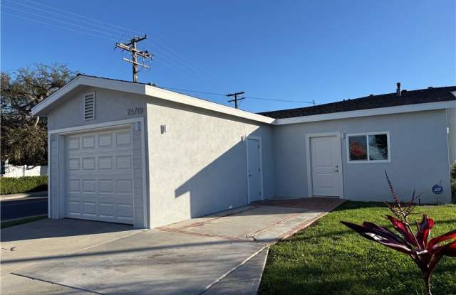 25719 Walnut photos photos