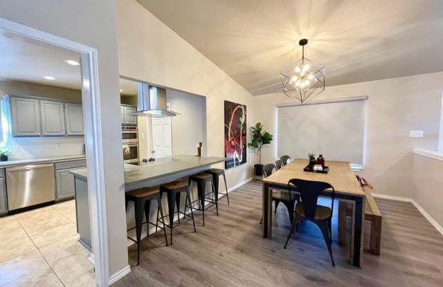 29608 TERRA VIS Gallery 4