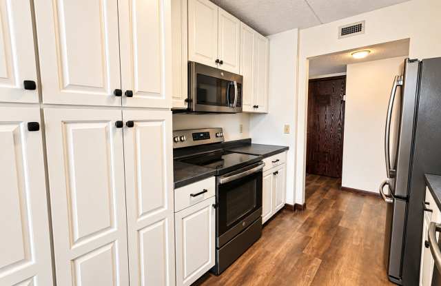 2 bedroom Condo in Twin Towers!! Gallery 4